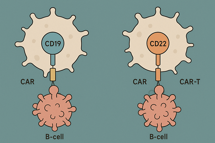 cd19-cd22-car-t-leukemia-700.png